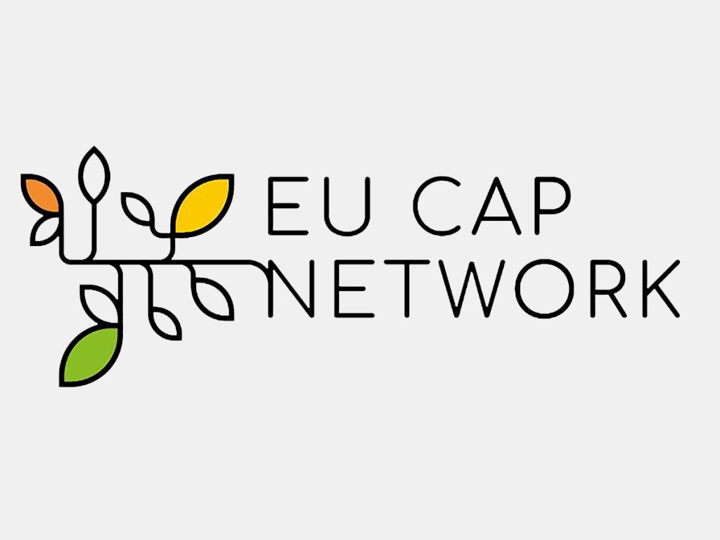 EU CAP Net logo grey 1