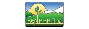 anaptixiaki trikalon logo