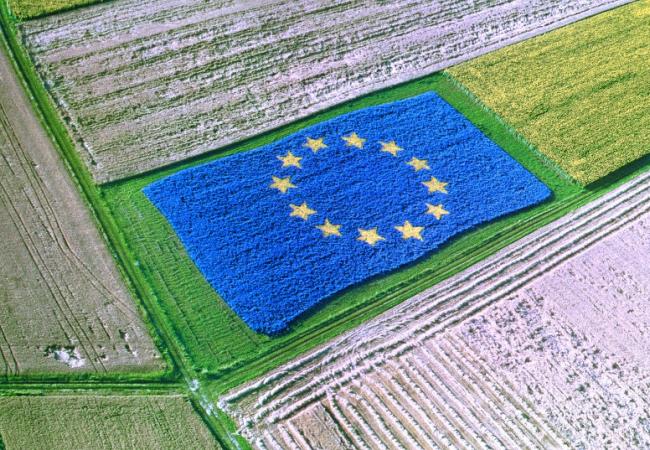 european agricultural fund for rural development 800x537 1