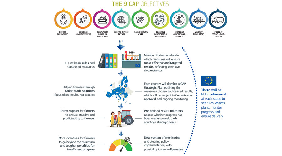CAP INFOGRAPHIC 900x500 1