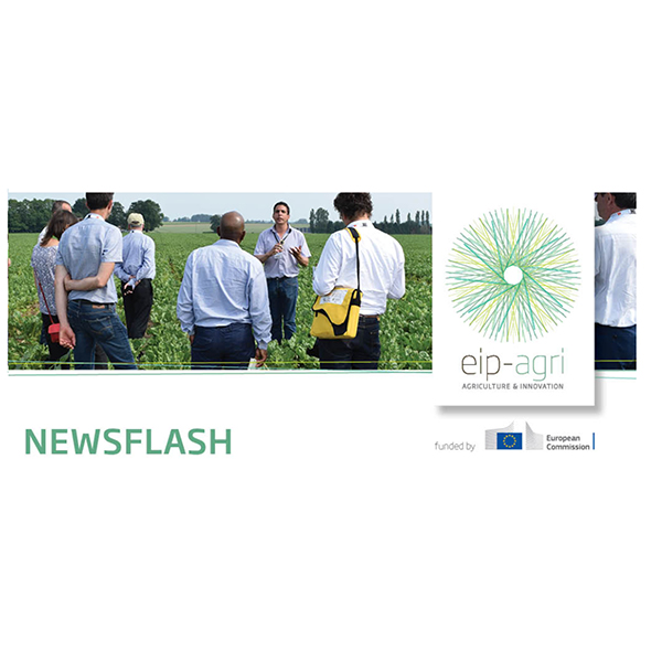 eip agri newsletter flash 1 2022