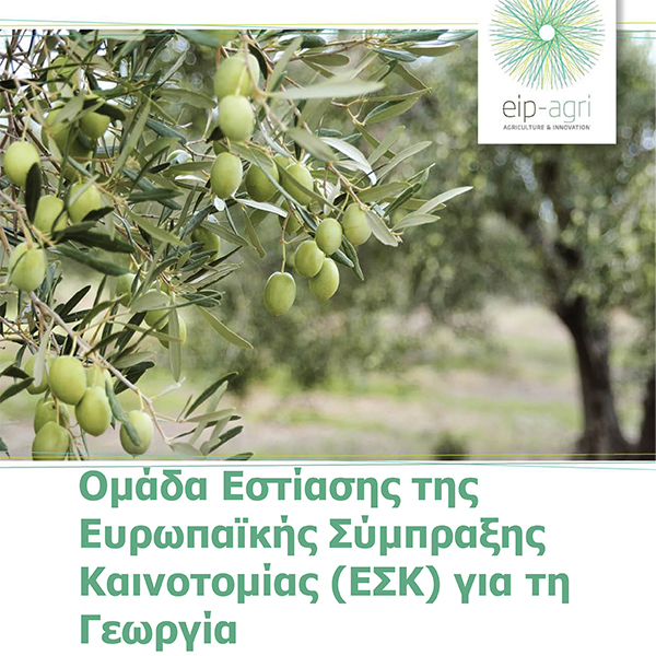 paa eip agri fg pests diseases olive tree final report 2020 el final 1
