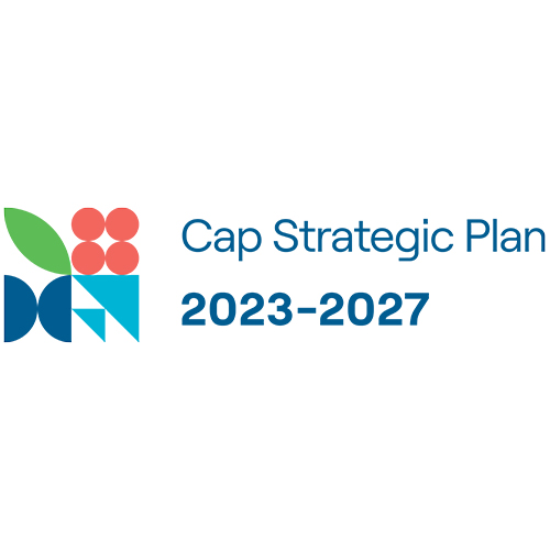 CAP Strategic Plan EN