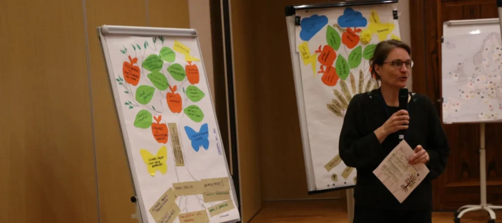 eu cap network 7nn group work 2.jpg