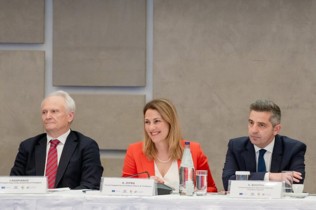 enarktiria diavouleysi nea kap 11