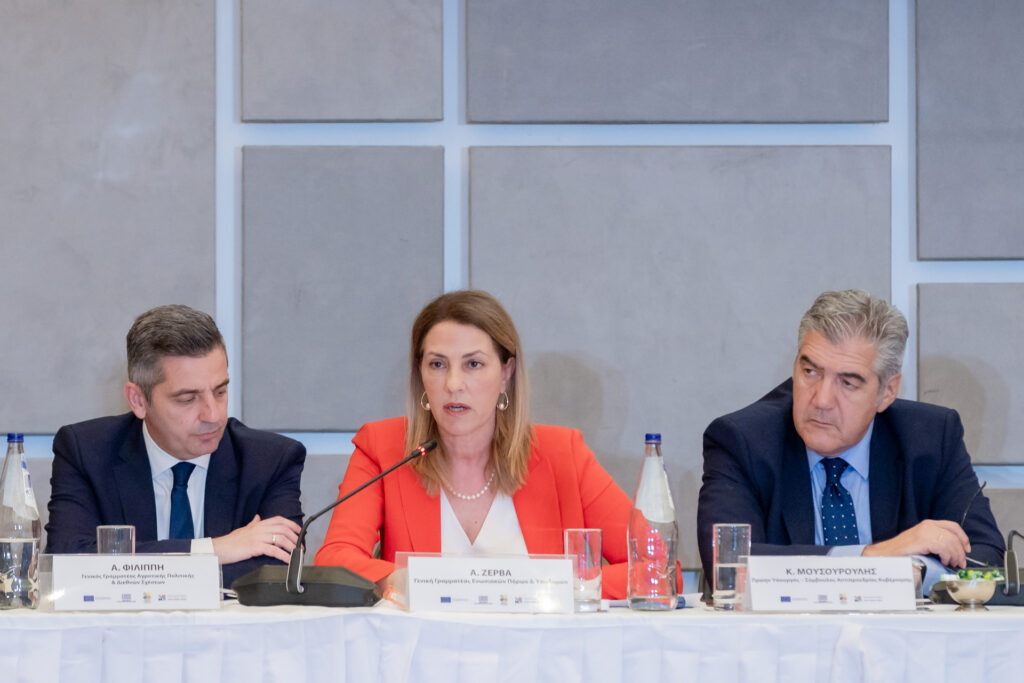 enarktiria diavouleysi nea kap 3