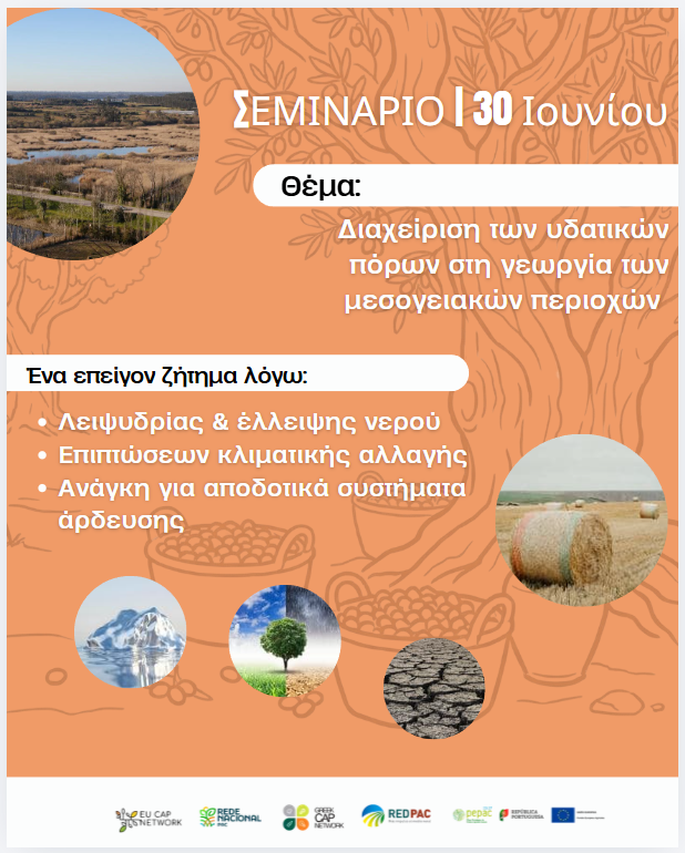 Webinar 20062026 10
