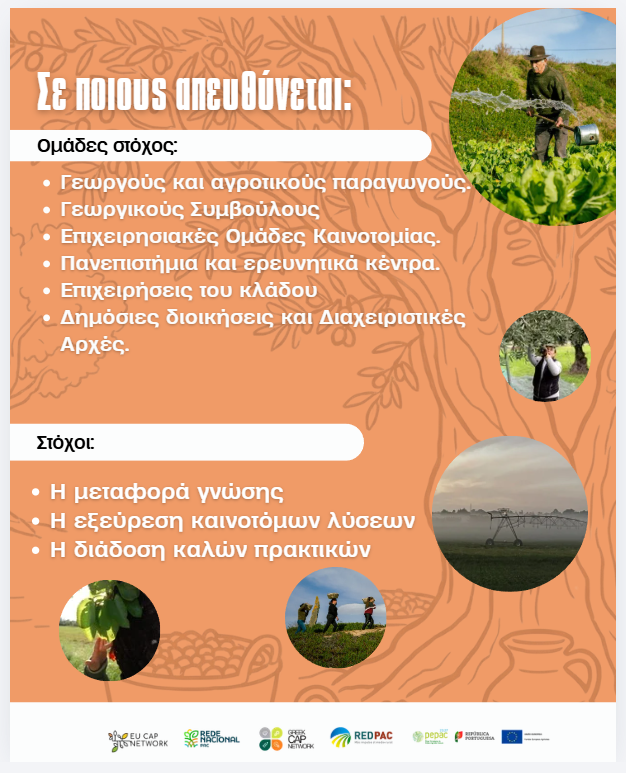 Webinar 20062026 12