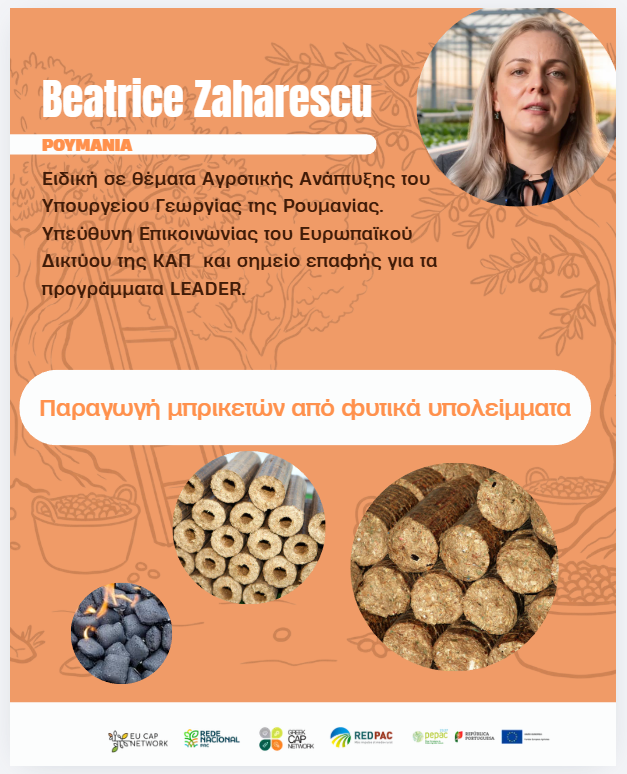 Webinar 20062026 3