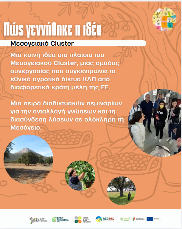 Webinar 20062026 8