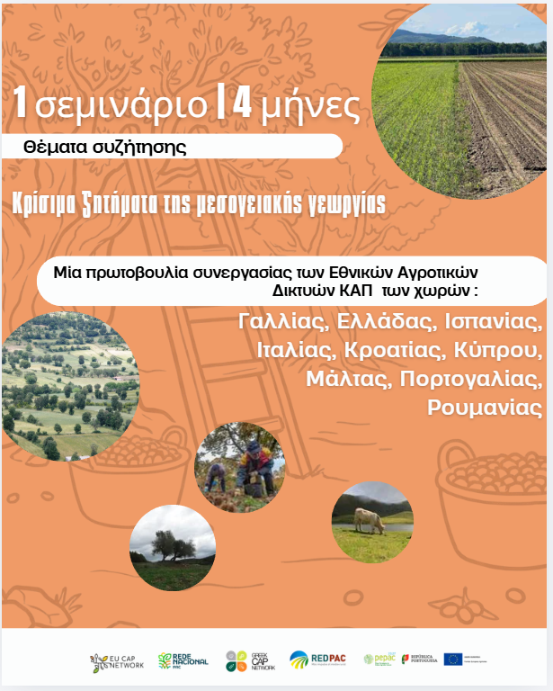 Webinar 20062026 9