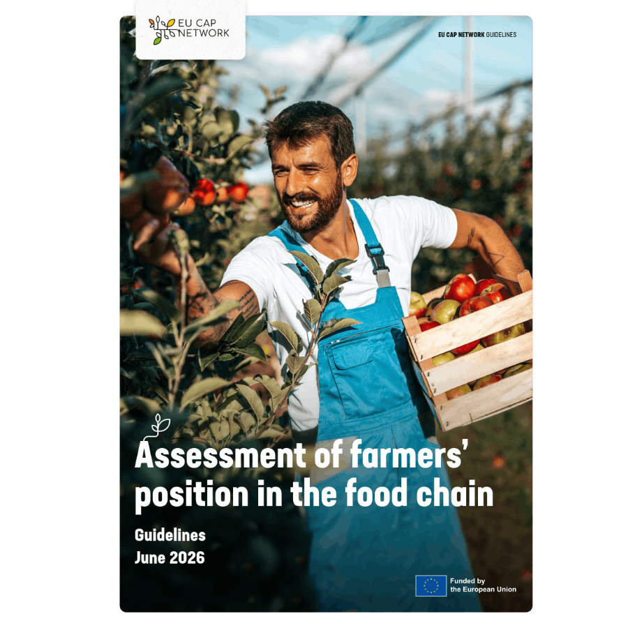 publication