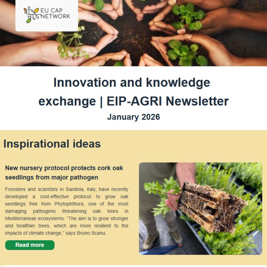 EIP AGRI NEWSLETTER ΙΑΝΟΥΑΡΙΟΣ 2026