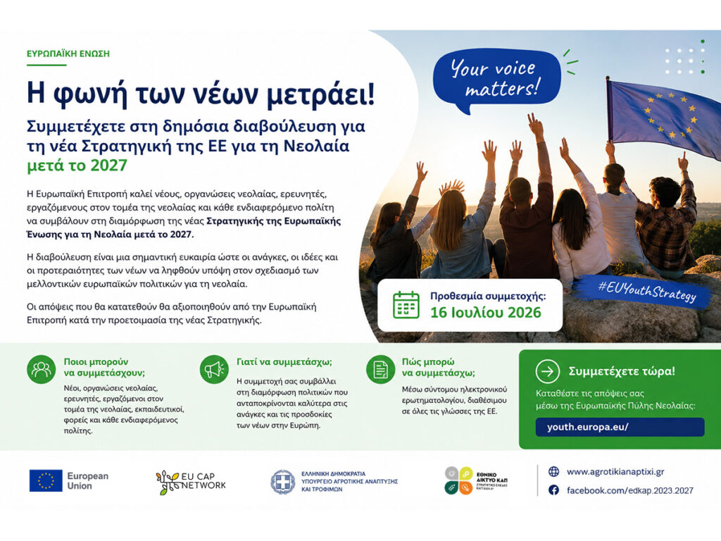 future EU Youth Strategy 2