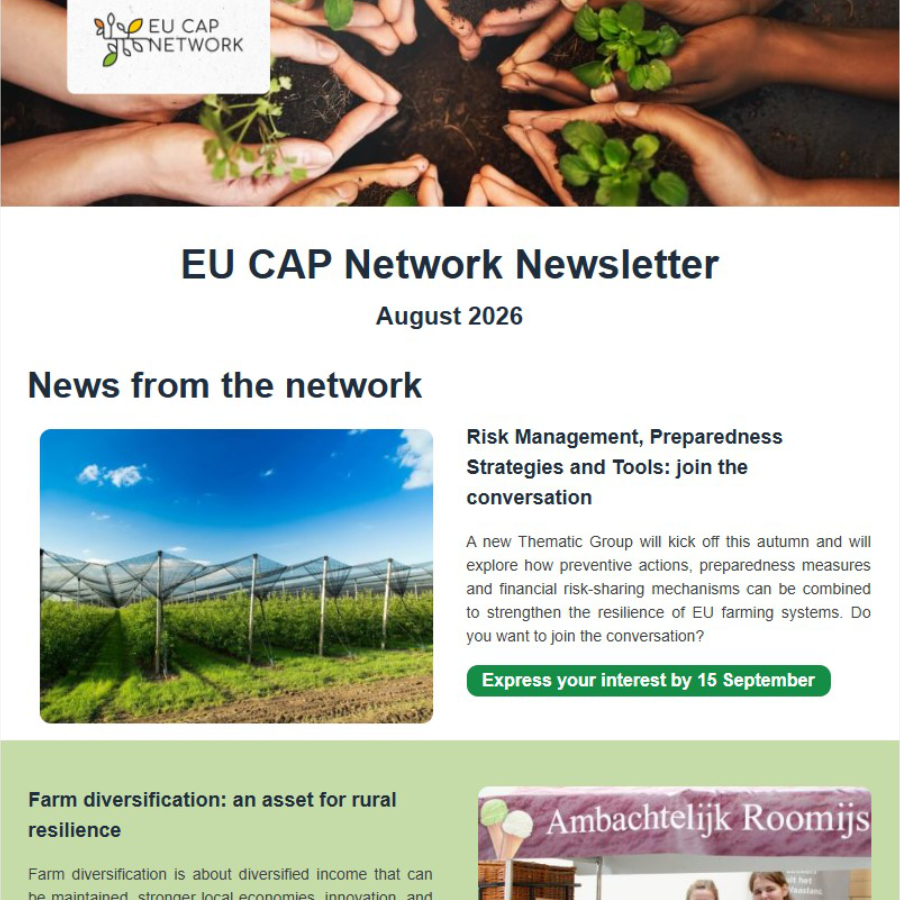 AUGUST 2026 EUCAP