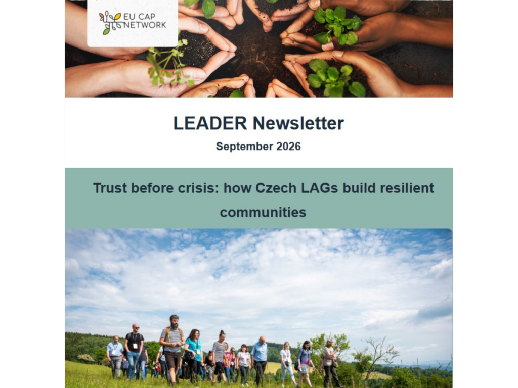 LEADER SEPTEMBER 2026 1