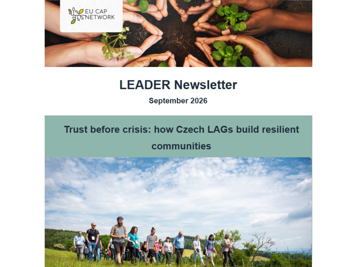LEADER SEPTEMBER 2026 1