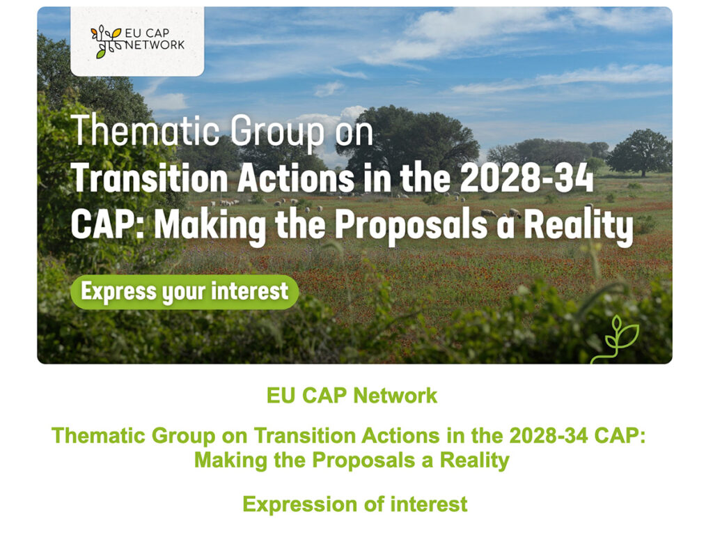 thematic group 2028 2034