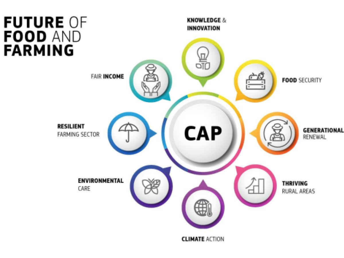 2018 05 04 14 47 07 future of food and farming communication en.pdf