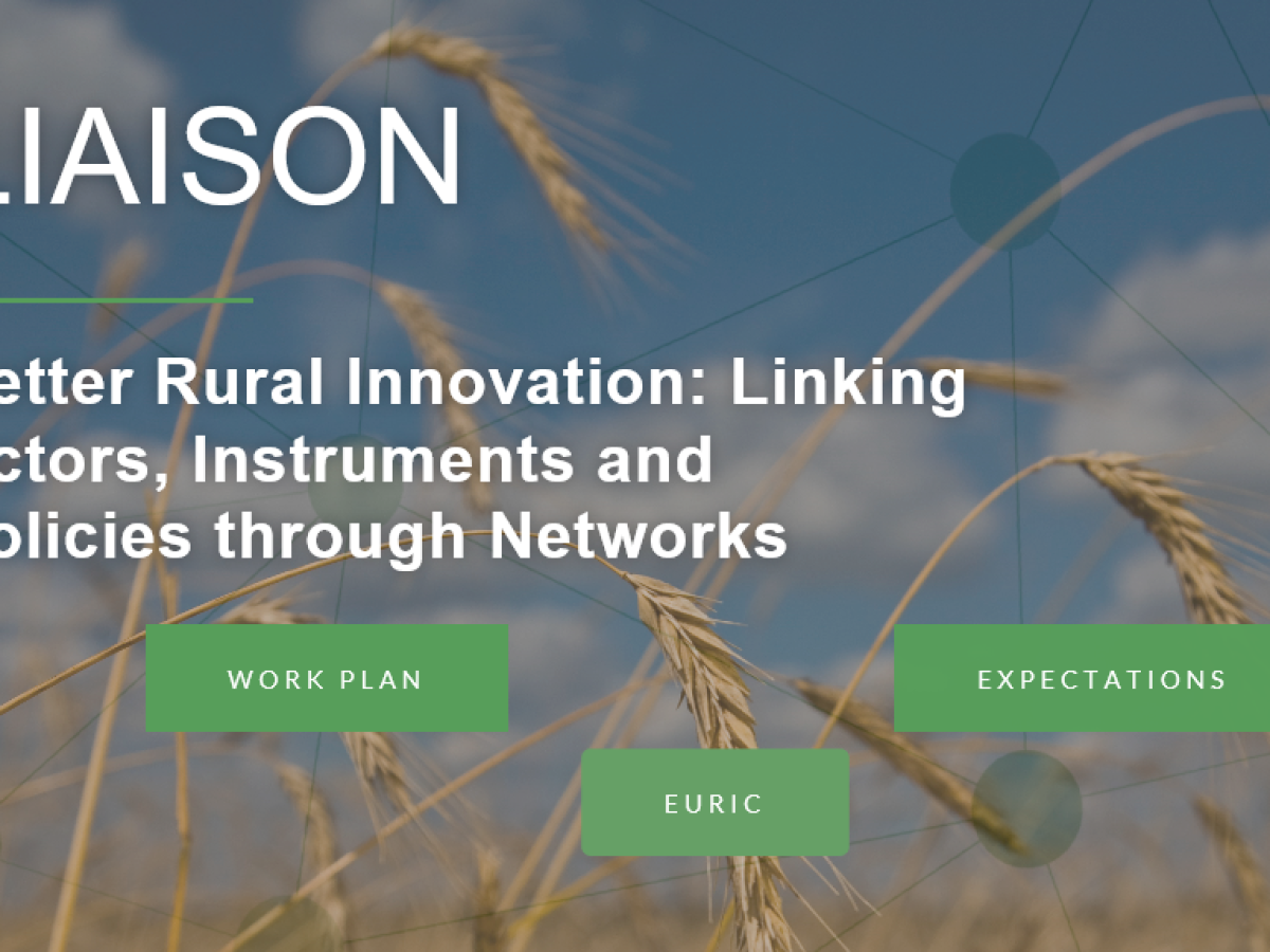 2019 02 07 12 59 16 Microsoft Edge e1549537420965