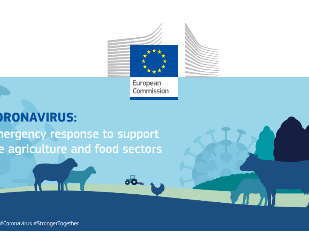 2020 04 21 13 21 37 factsheet covid19 agriculture food sectors en.pdf