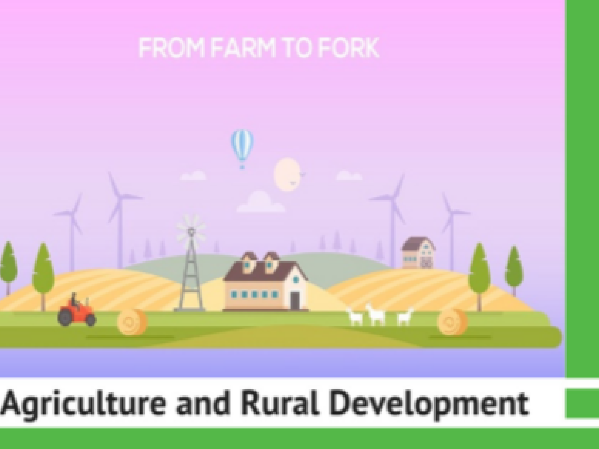 2020 08 31 15 41 21 Window