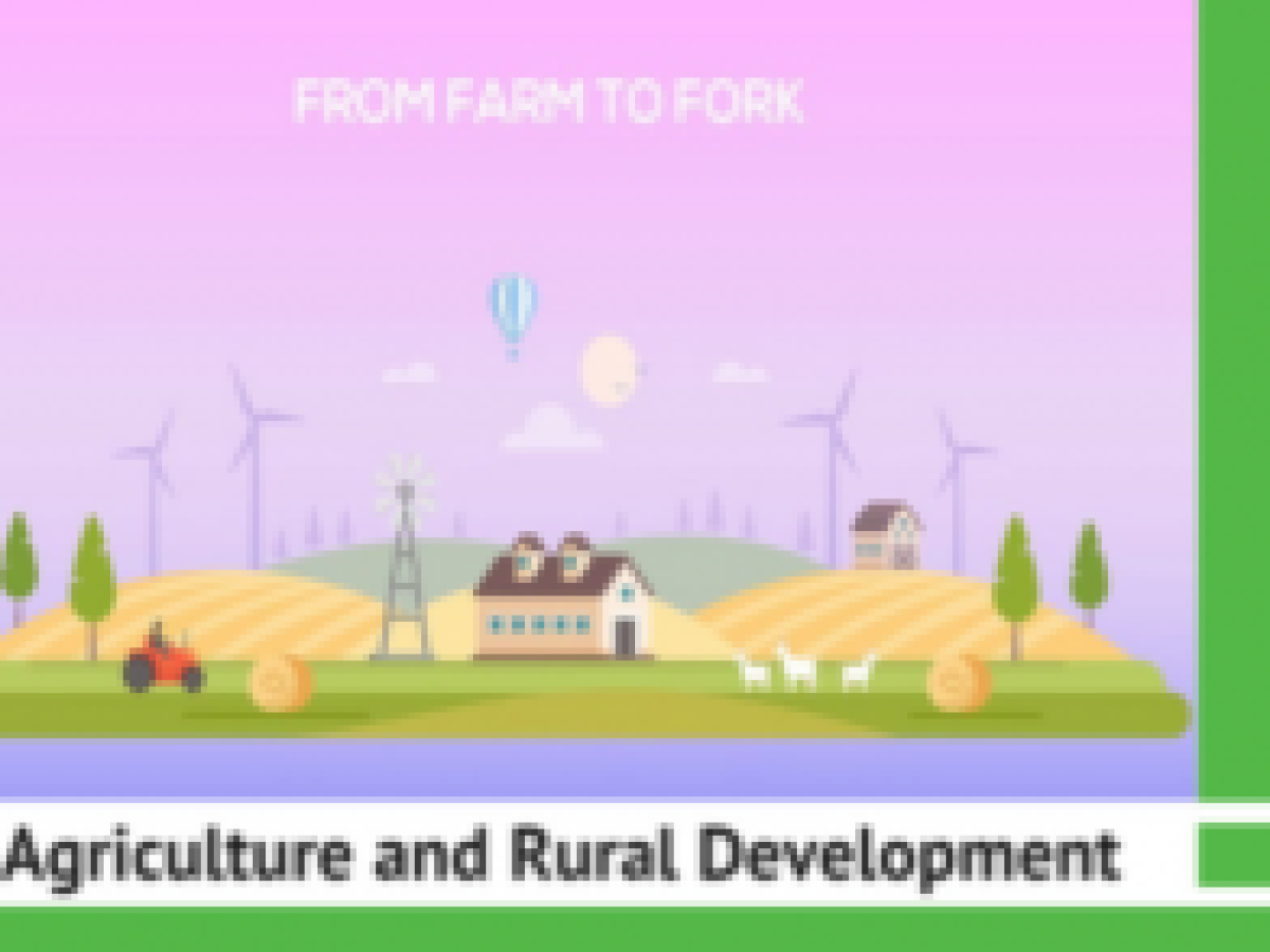 2020 08 31 15 41 21 window 437x292 1