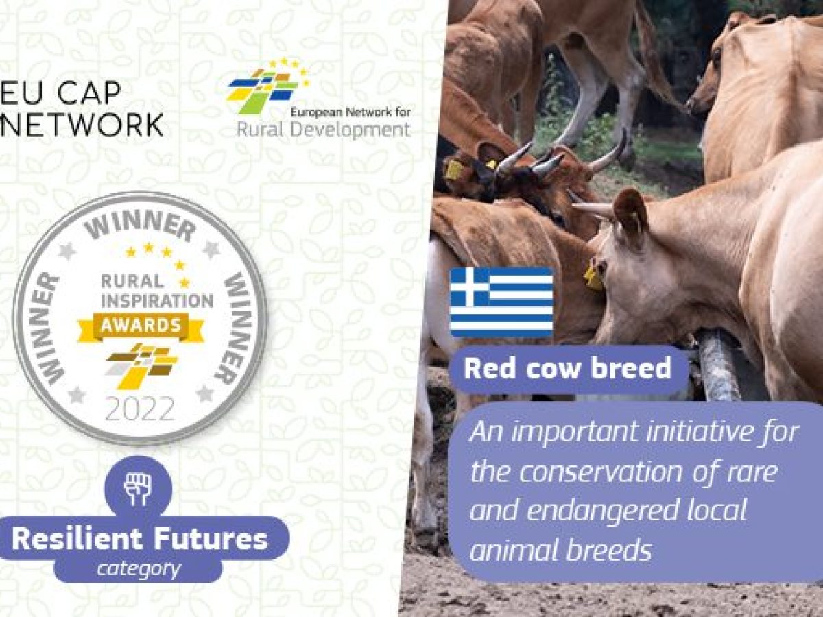 310984714 115759334620353 5868816306038021902 n 574x383 1