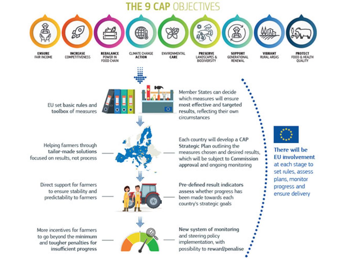 CAP INFOGRAPHIC 900x500 1