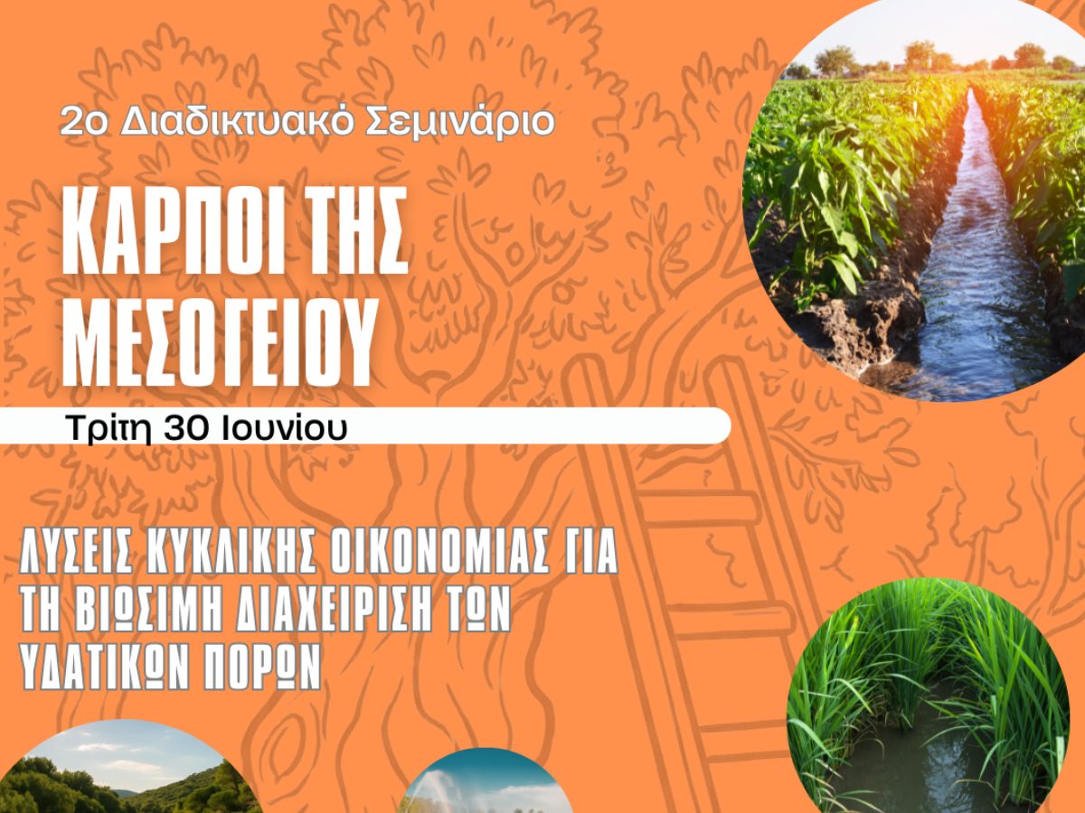 EDIT SEEDS OF THE MEDITERRANEAN EN IG 1