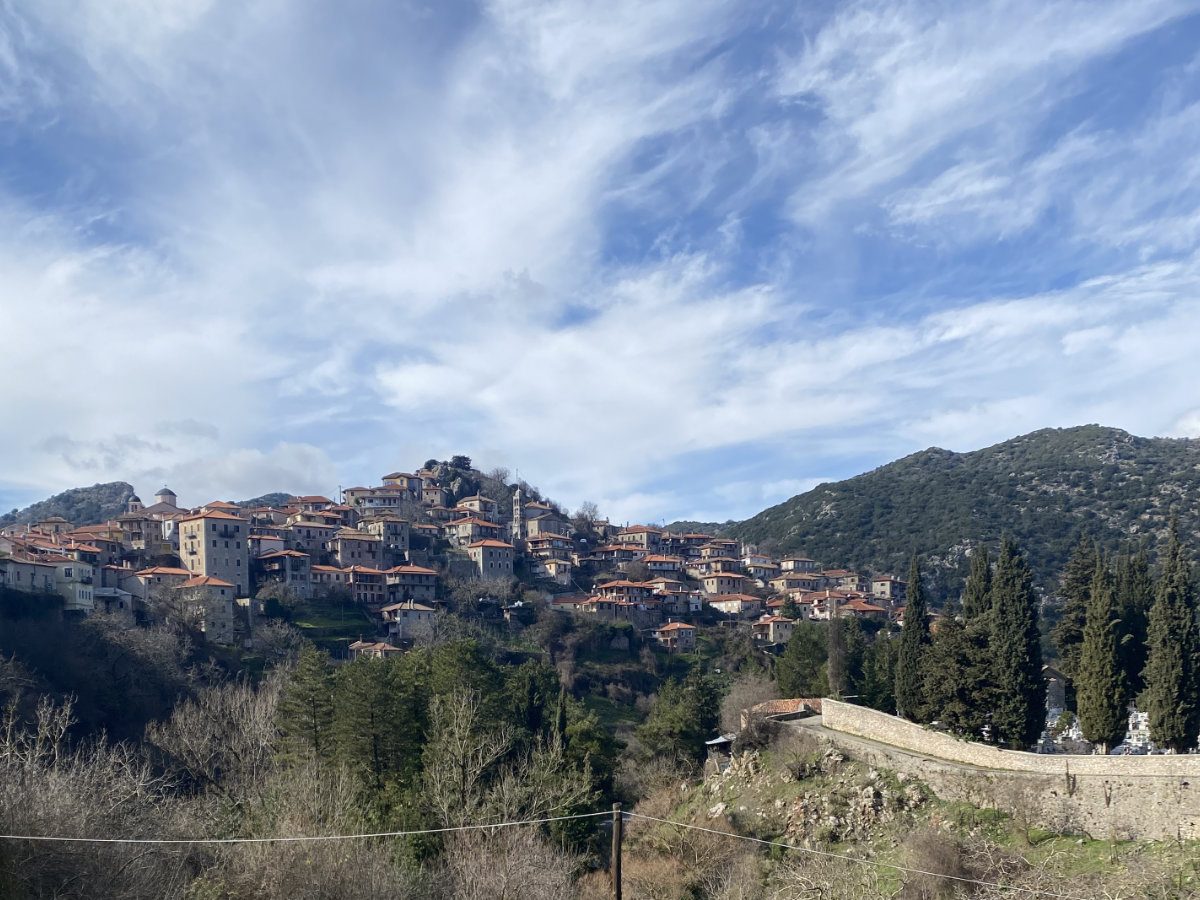 IMG 7957 2