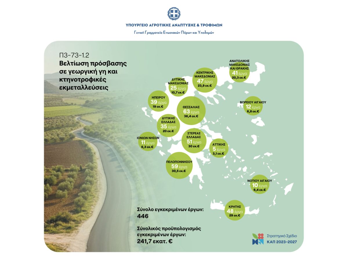 Infographic 3