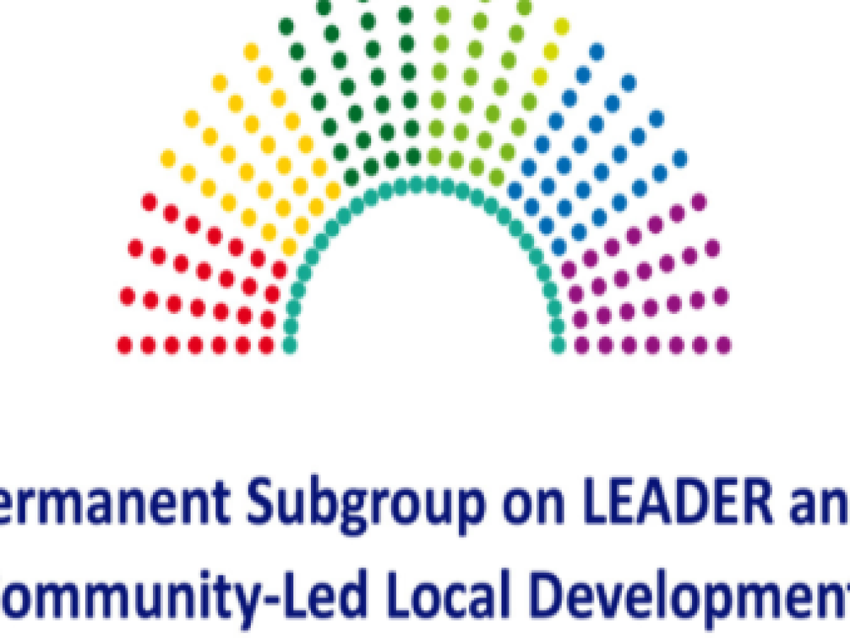 LEADER SG 1 381x254 1