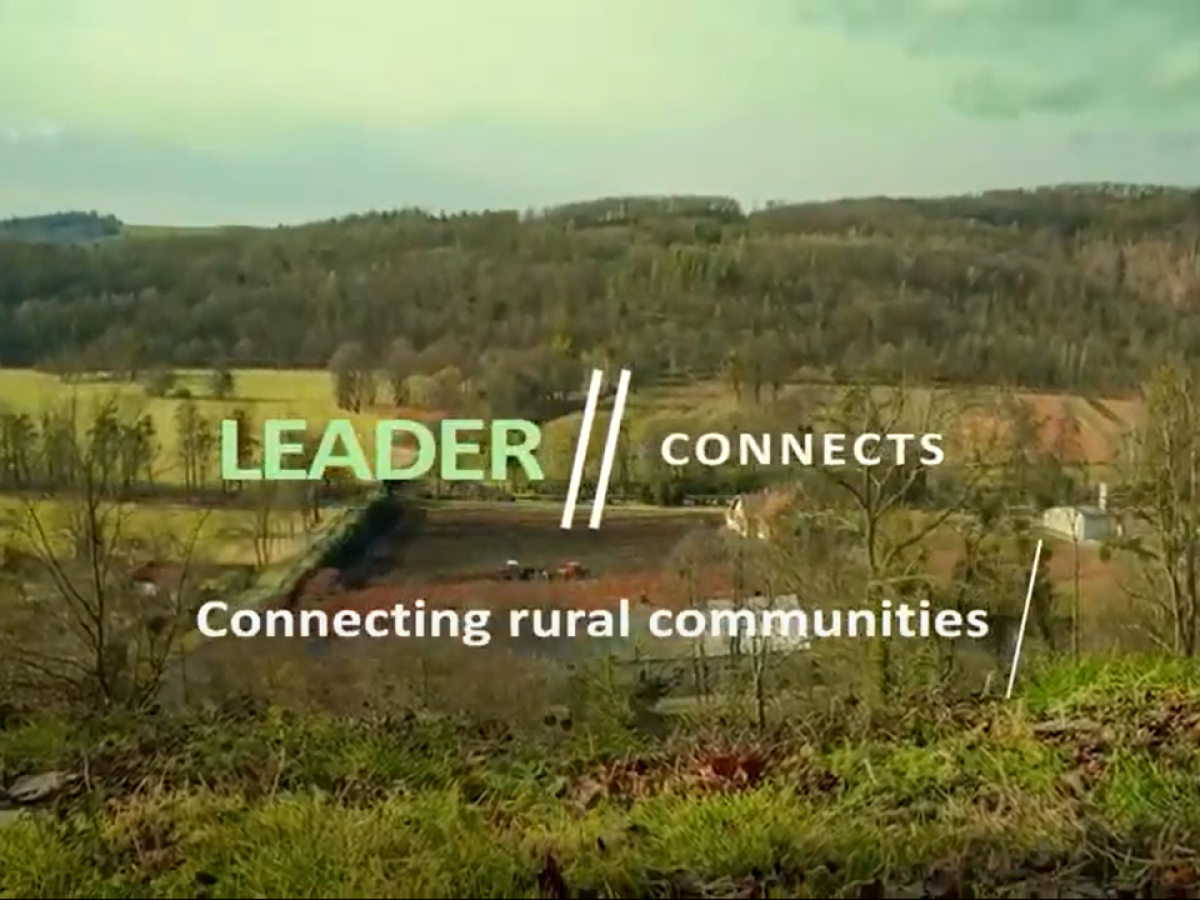 LEADER THEMATIC LAB 1