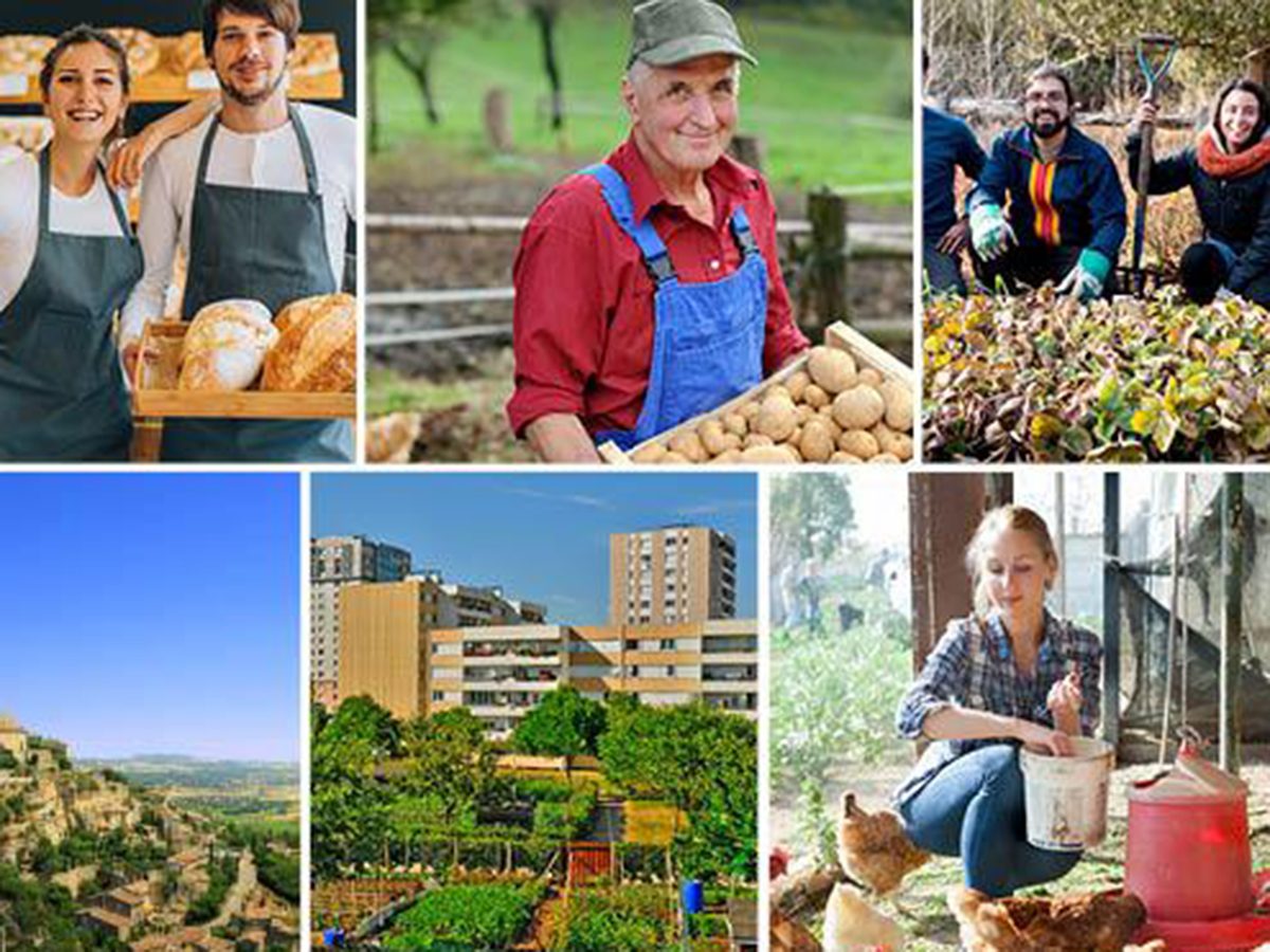 NewsBanner OrganicAwards 800x418px