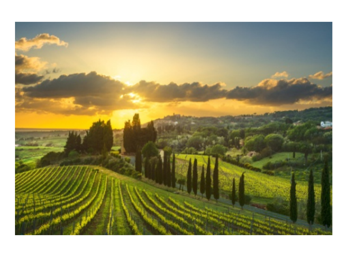 Screenshot 2022 03 29 083019