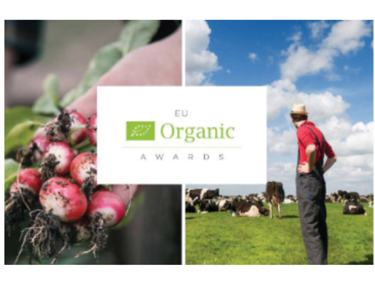 Screenshot 2022 04 12 095501 574x383 1