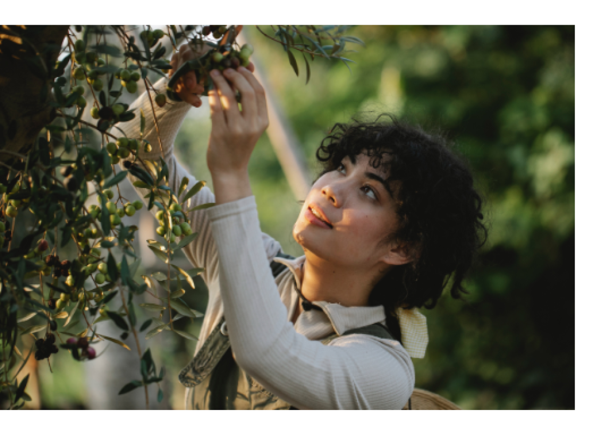 Screenshot 2022 04 20 132410