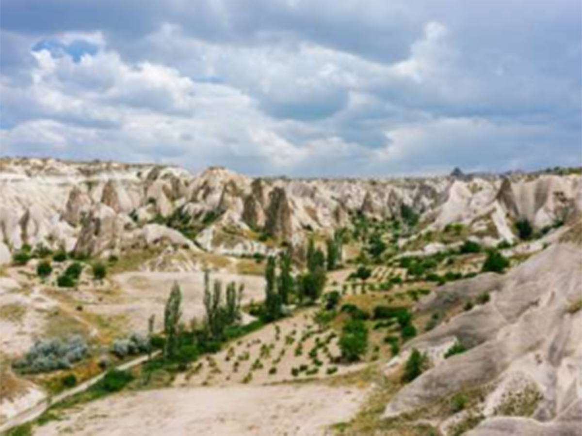 Screenshot 2022 06 02 092442