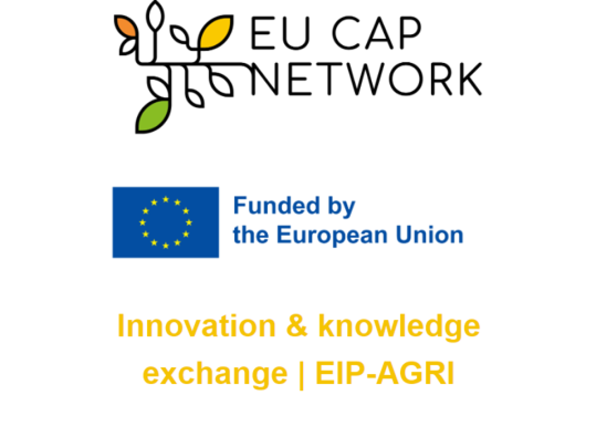 Screenshot 2022 11 03 093514 606x404 1