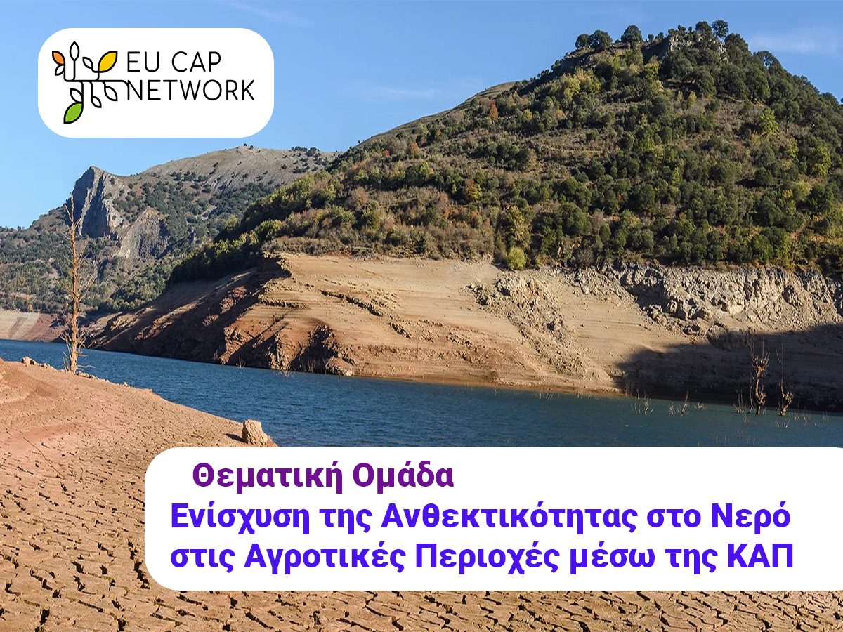 THEMATIKI OMADA NERO 1200X900