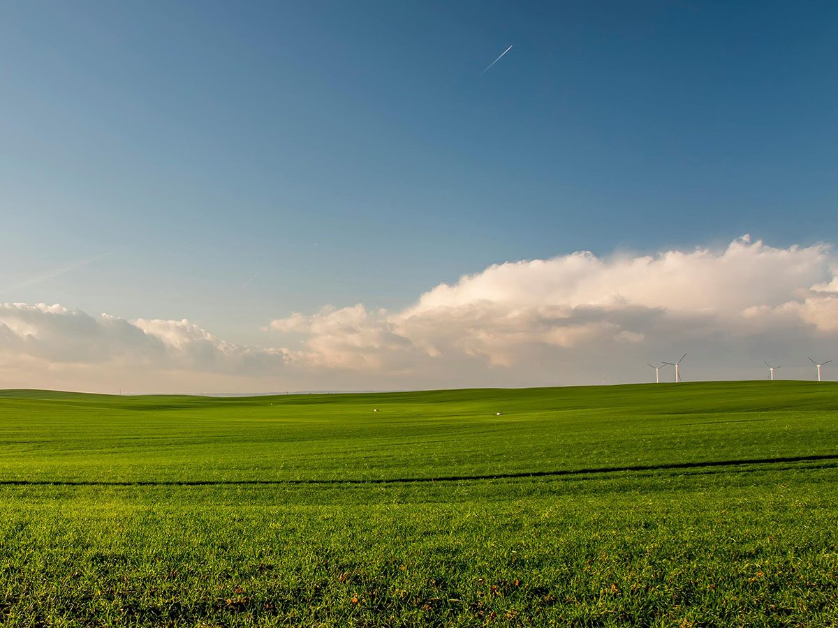 agros free pexels jahoo 388415