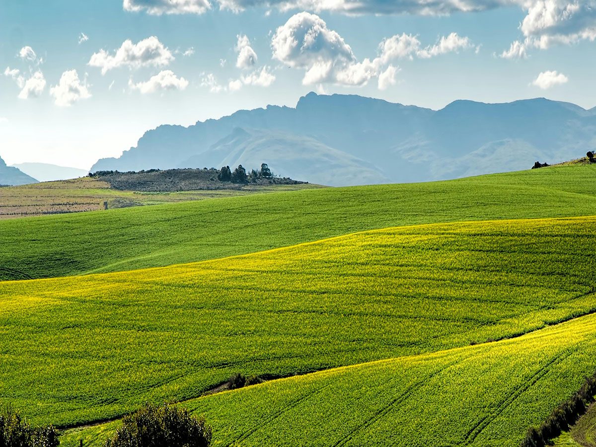 agros free pexels pixabay 259280