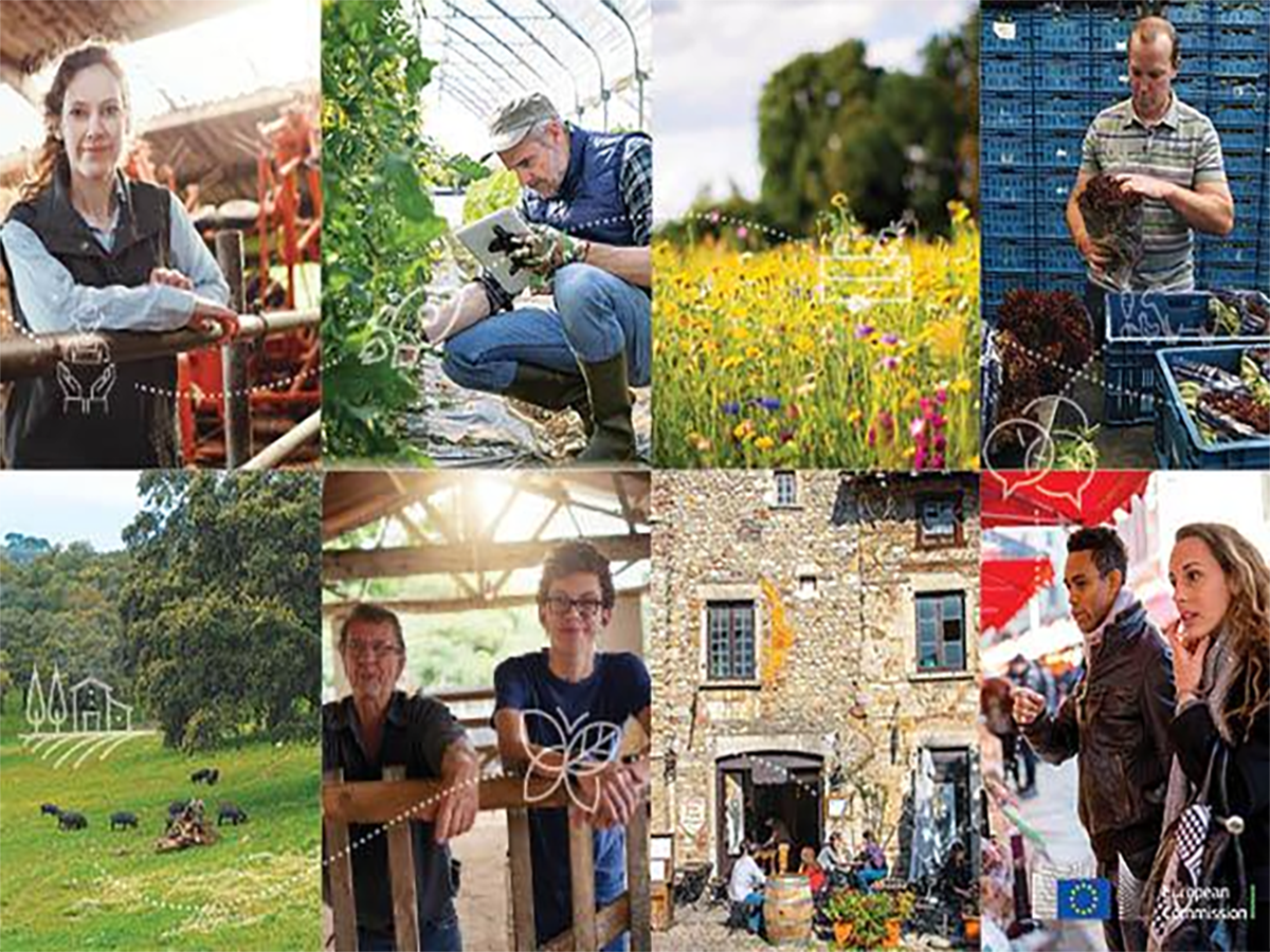 cap sp aproval 1 599x400 2