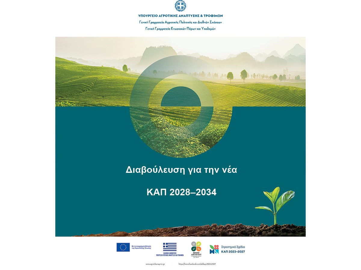 diavouleysi nea kap 1