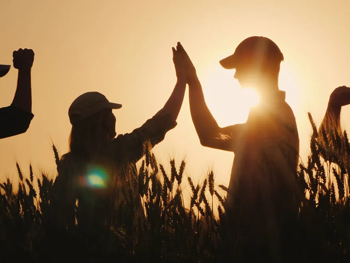 eu cap network visual identity tg potential cooperation.jpg