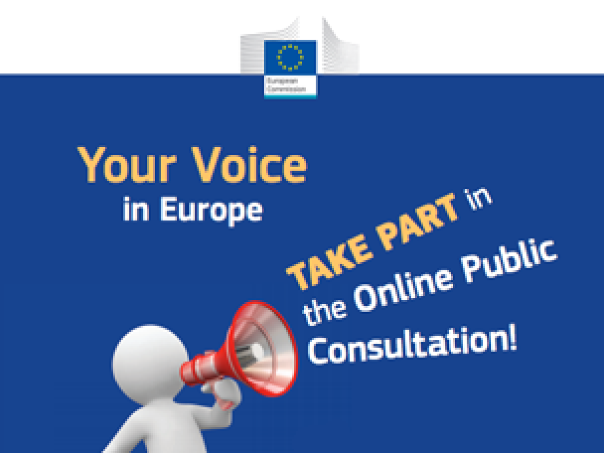 europe consultation