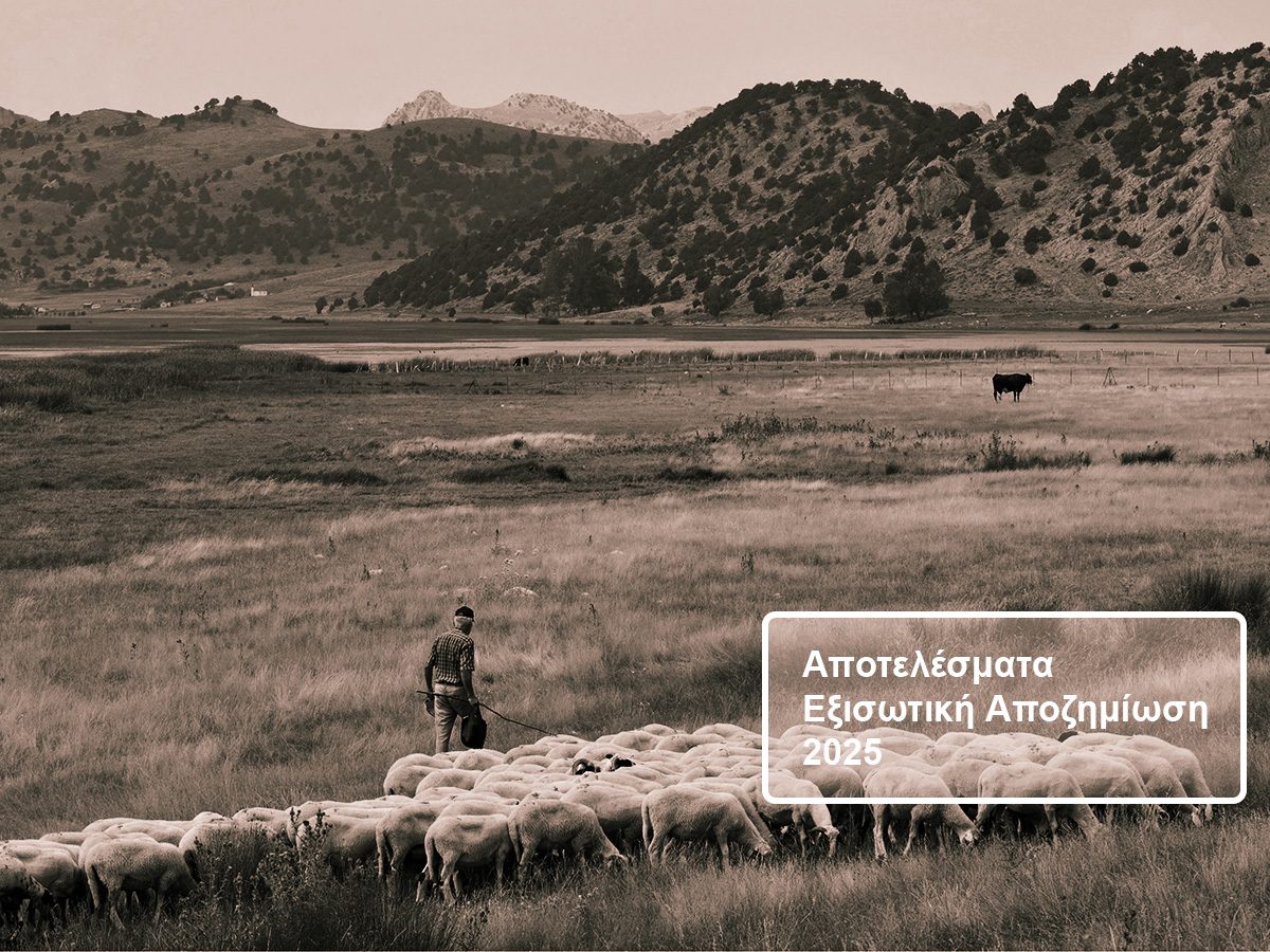 exisotiki free use 1200 900