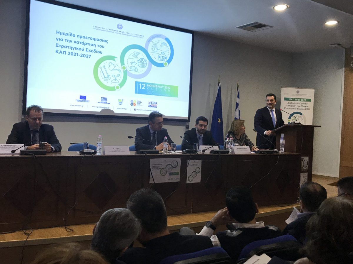 img 5923 kozani scaled