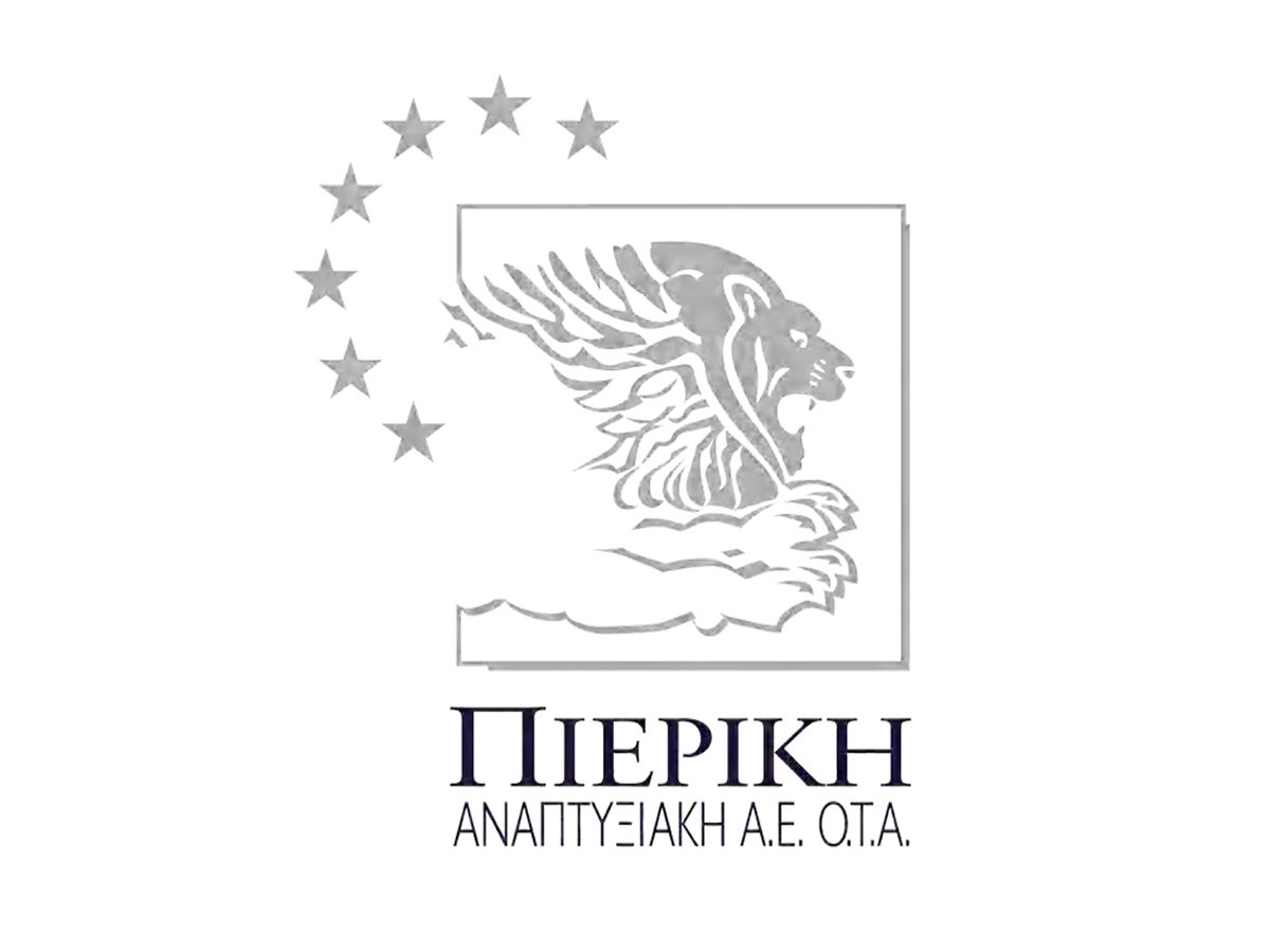 leader otd pieriki anaptixiaki ae ota